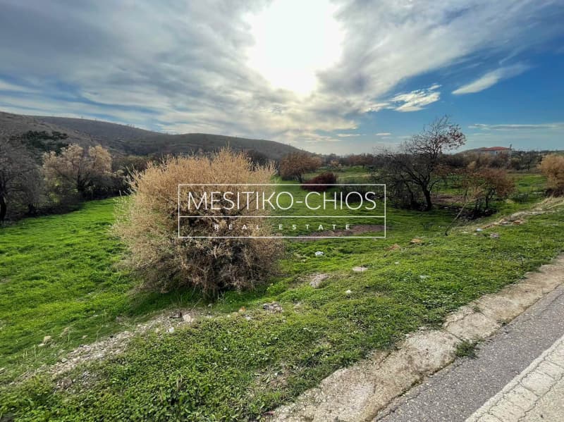 Οικόπεδο στην Αμάνη, Χίος — Φωτογραφία 12 από 25