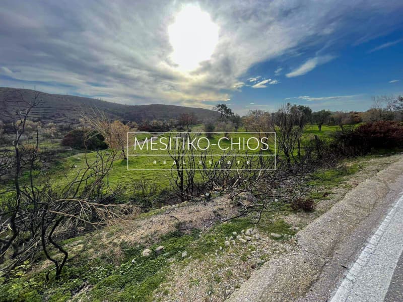 Οικόπεδο στην Αμάνη, Χίος — Φωτογραφία 8 από 25