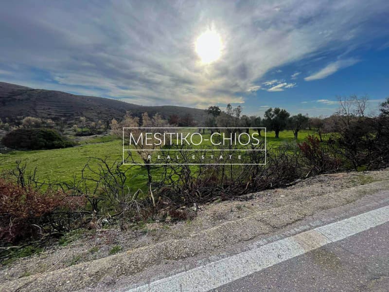 Οικόπεδο στην Αμάνη, Χίος — Φωτογραφία 15 από 25