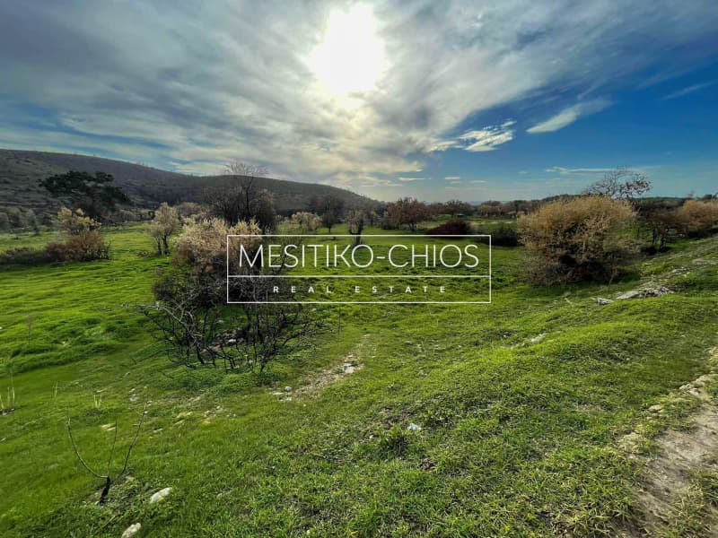 Οικόπεδο στην Αμάνη, Χίος — Φωτογραφία 17 από 25