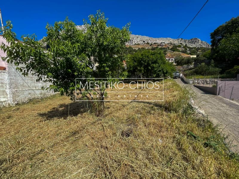 Οικόπεδο στην Ομηρούπολη, Χίος — Φωτογραφία 11 από 25