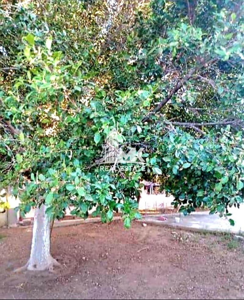 Μονοκατοικία στην Άγιοι Θεόδωροι, Άγιοι Θεόδωροι — Φωτογραφία 19 από 30
