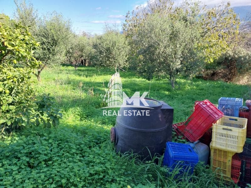 Μονοκατοικία στην Μιντιλόγλι, Παραλίας — Φωτογραφία 27 από 30