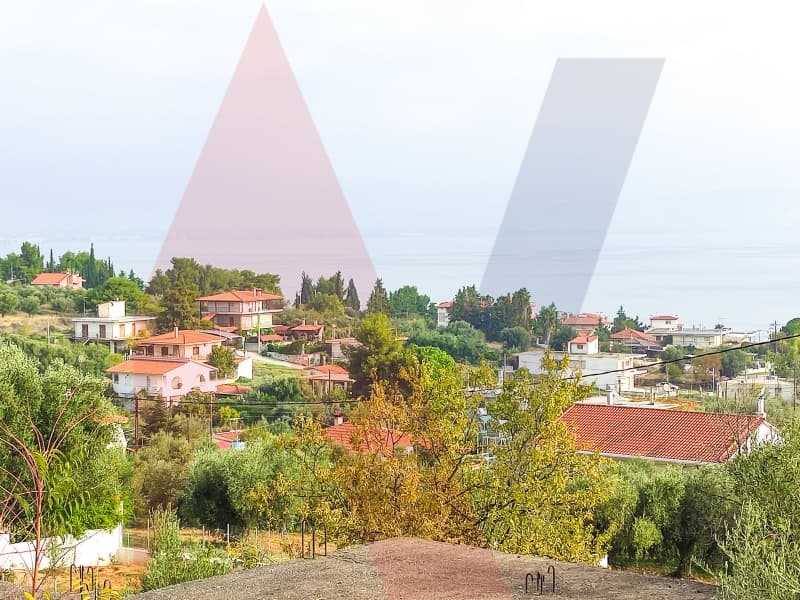 Μονοκατοικία στην Πλάκα Δήλεσι, Οινόφυτα — Φωτογραφία 25 από 25