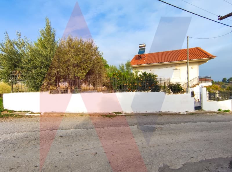 Μονοκατοικία στην Πλάκα Δήλεσι, Οινόφυτα — Φωτογραφία 4 από 25