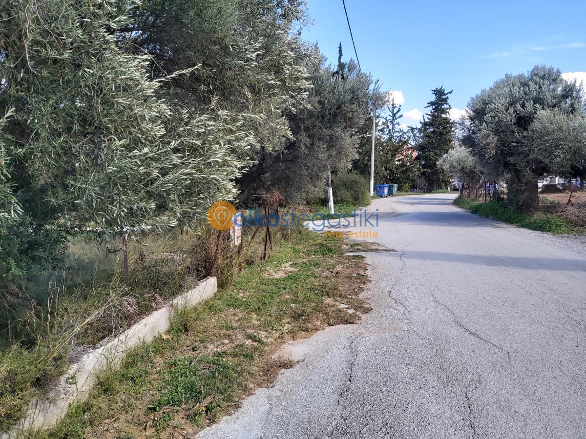 Οικόπεδο στην Κέντρο, Γλυκά Νερά — Φωτογραφία 4 από 4