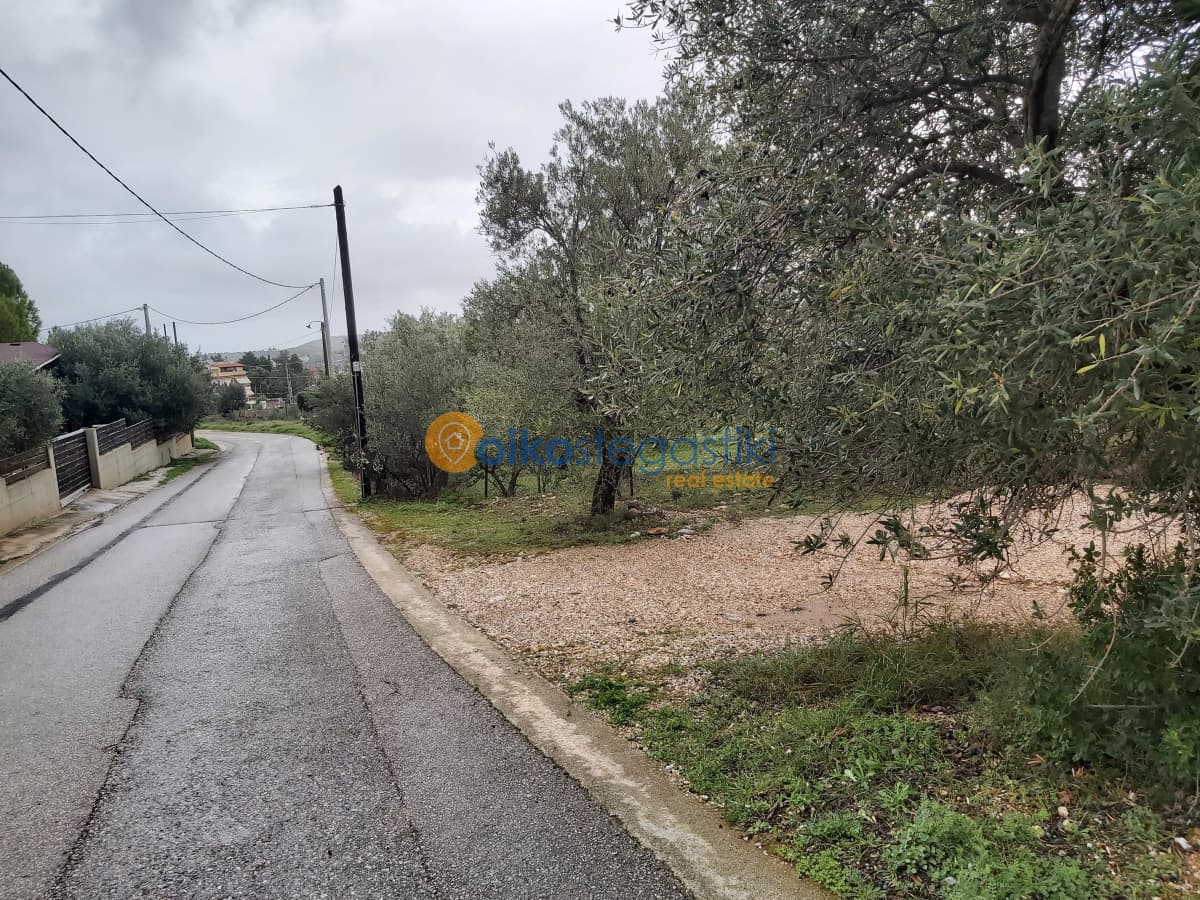 Οικόπεδο στην Μουσείο Βορρέ, Παιανία — Φωτογραφία 1 από 2