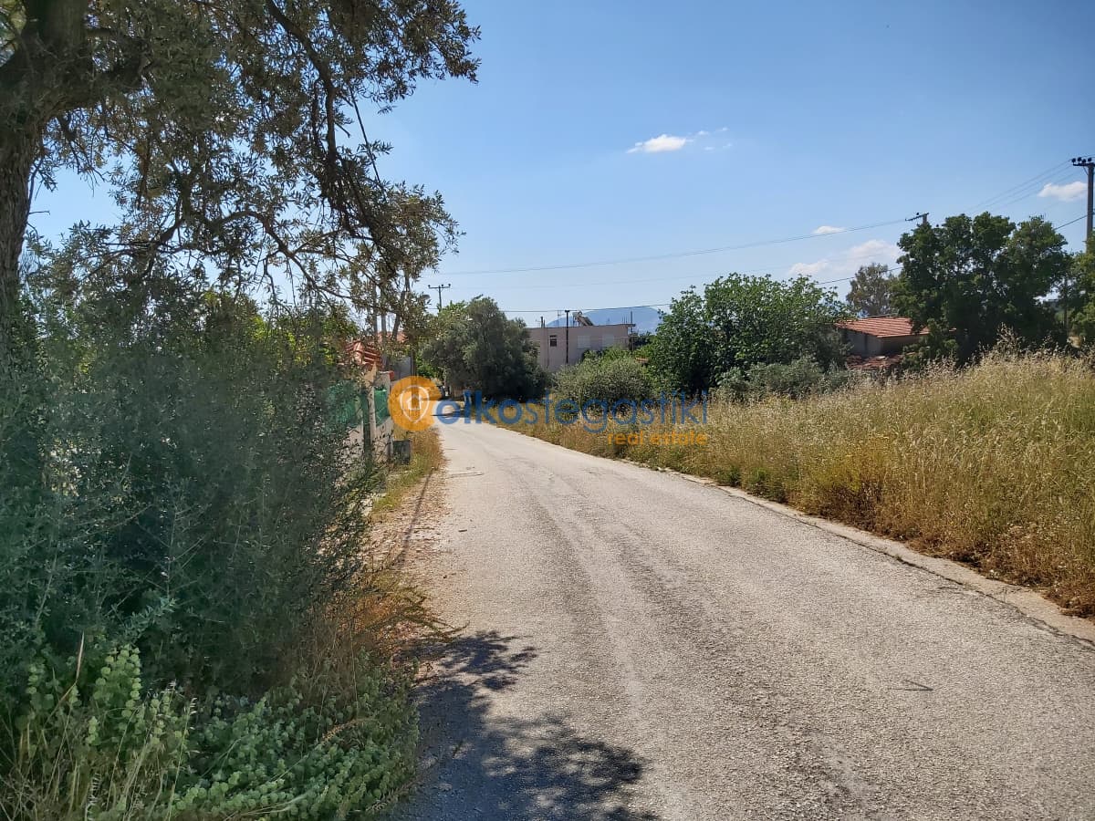 Οικόπεδο στην Αγία Τριάδα, Παιανία — Φωτογραφία 4 από 4