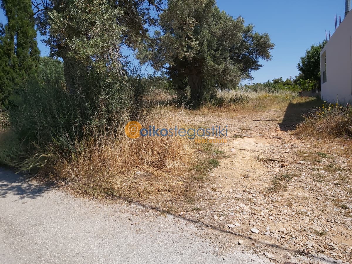 Οικόπεδο στην Αγία Τριάδα, Παιανία — Φωτογραφία 3 από 4