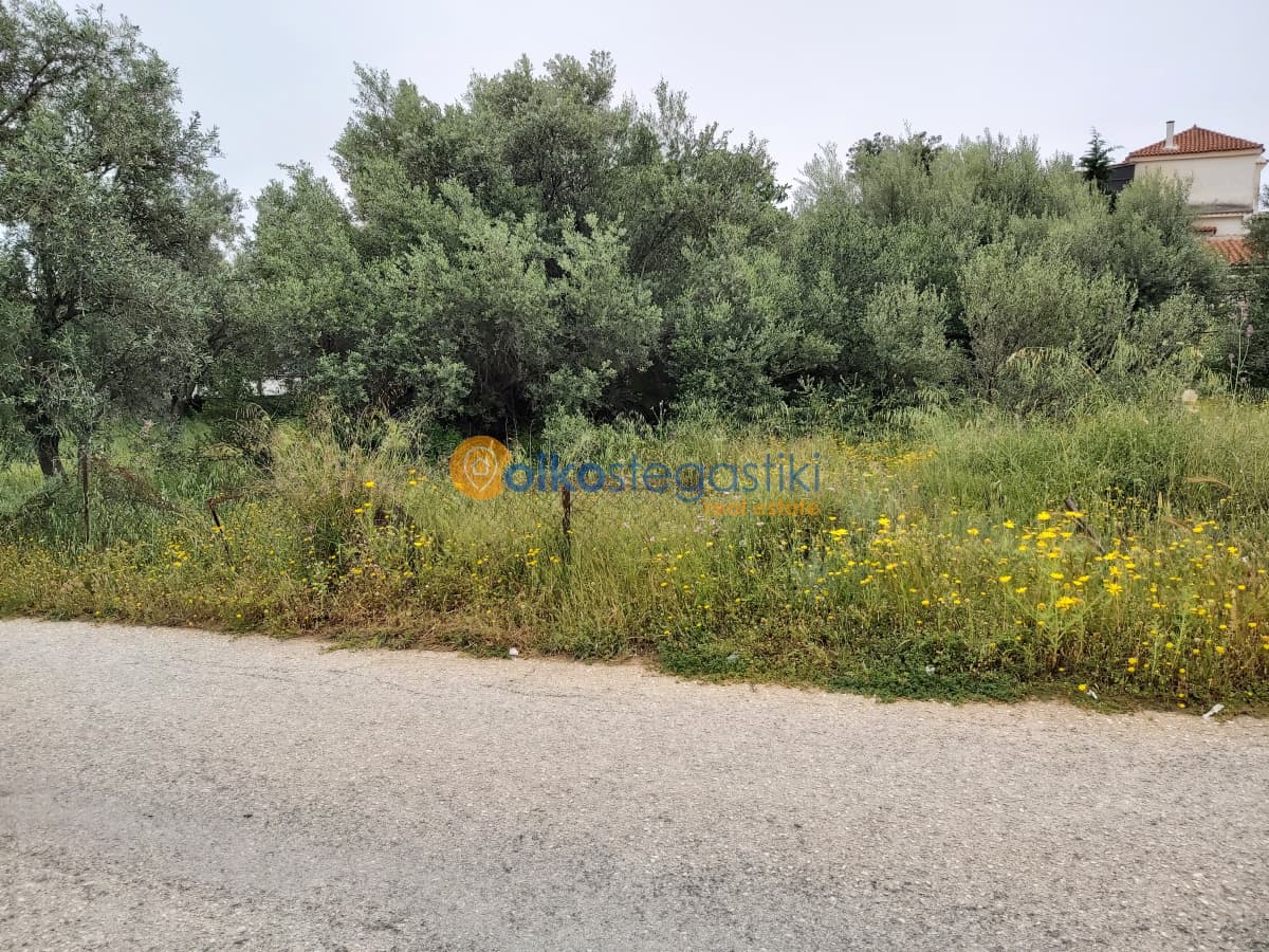 Building Plot in Agia Triada, Paiania — Photo 3 of 4
