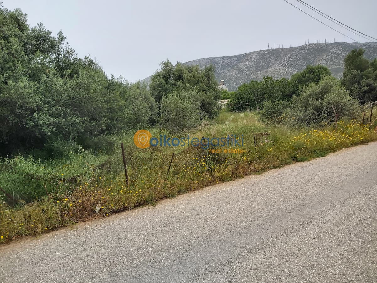 Building Plot in Agia Triada, Paiania — Photo 4 of 4