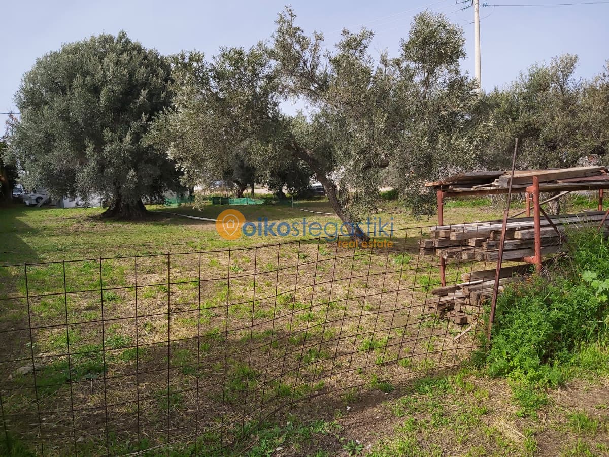 Οικόπεδο στην Νεάπολη, Σπάτα — Φωτογραφία 1 από 4