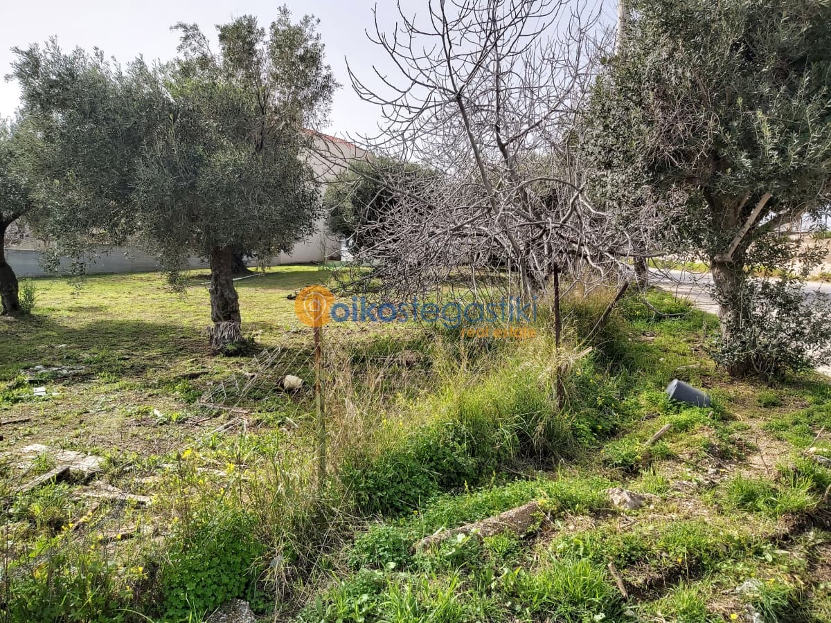 Οικόπεδο στην Νεάπολη, Σπάτα — Φωτογραφία 3 από 4