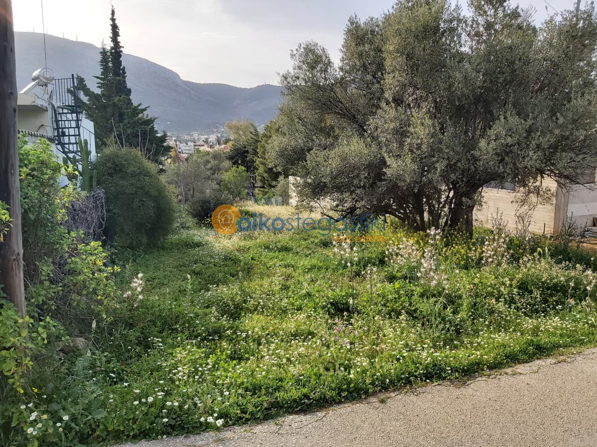 Building Plot in Agia Marina, Paiania — Photo 1 of 3