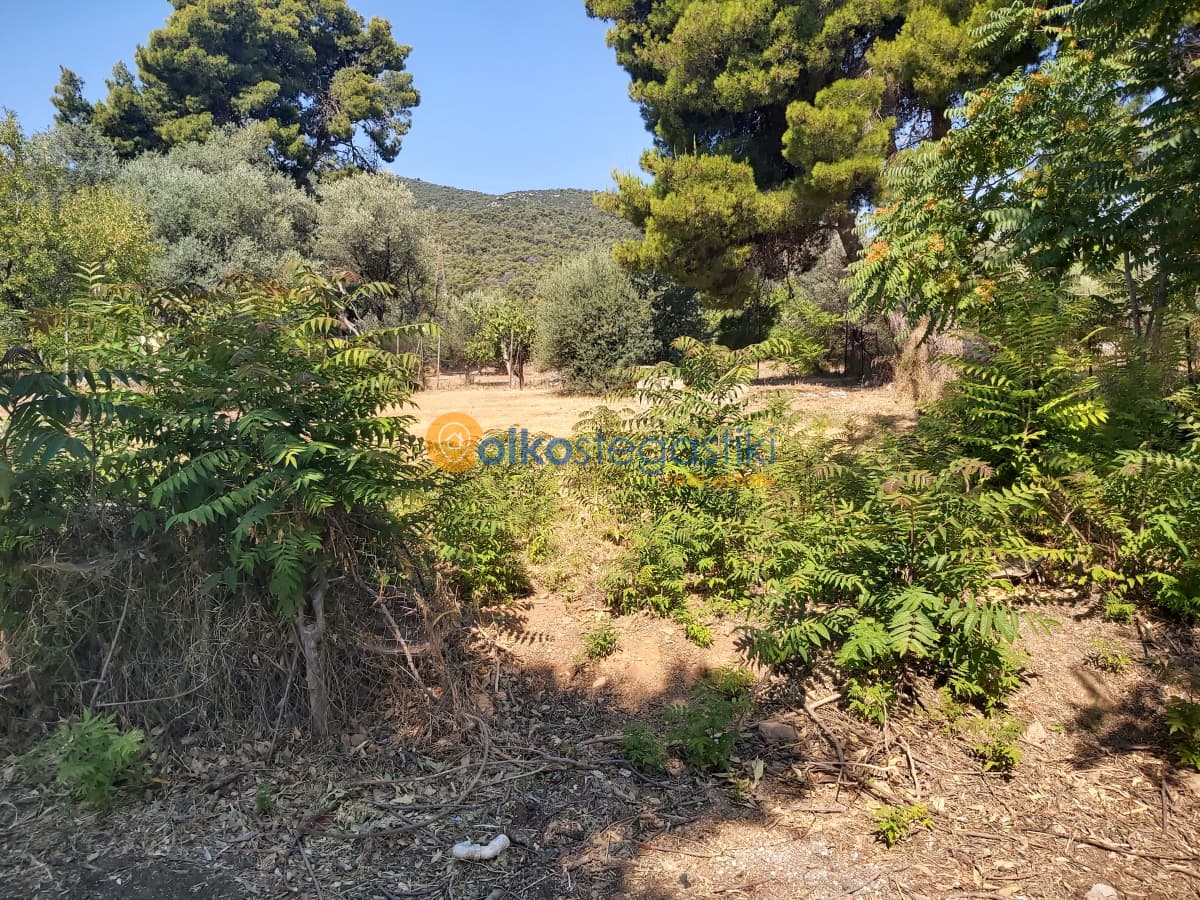 Οικόπεδο στην Κέντρο, Γλυκά Νερά — Φωτογραφία 1 από 5