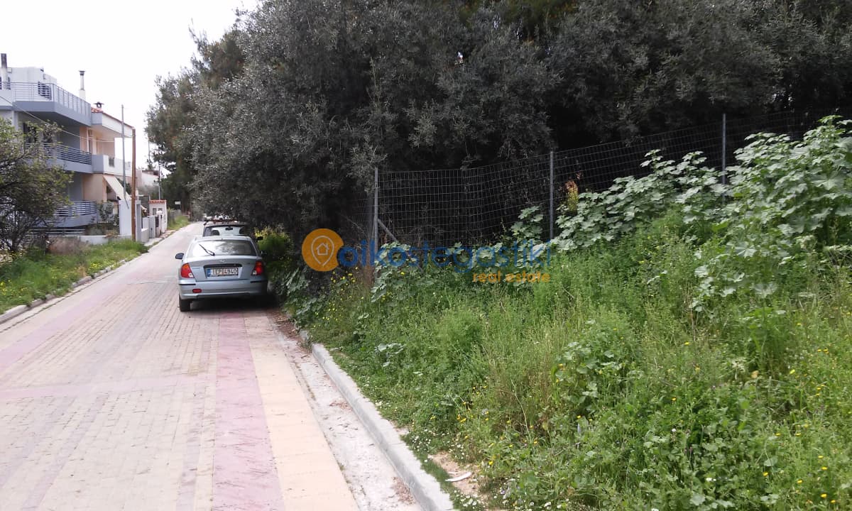 Οικόπεδο στην Φούρεσι, Γλυκά Νερά — Φωτογραφία 1 από 4
