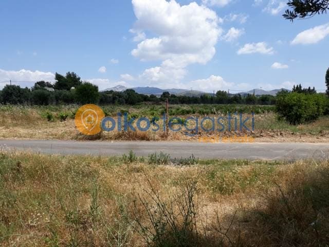 Αγροτεμάχιο στην Καισάρεια, Παλλήνη