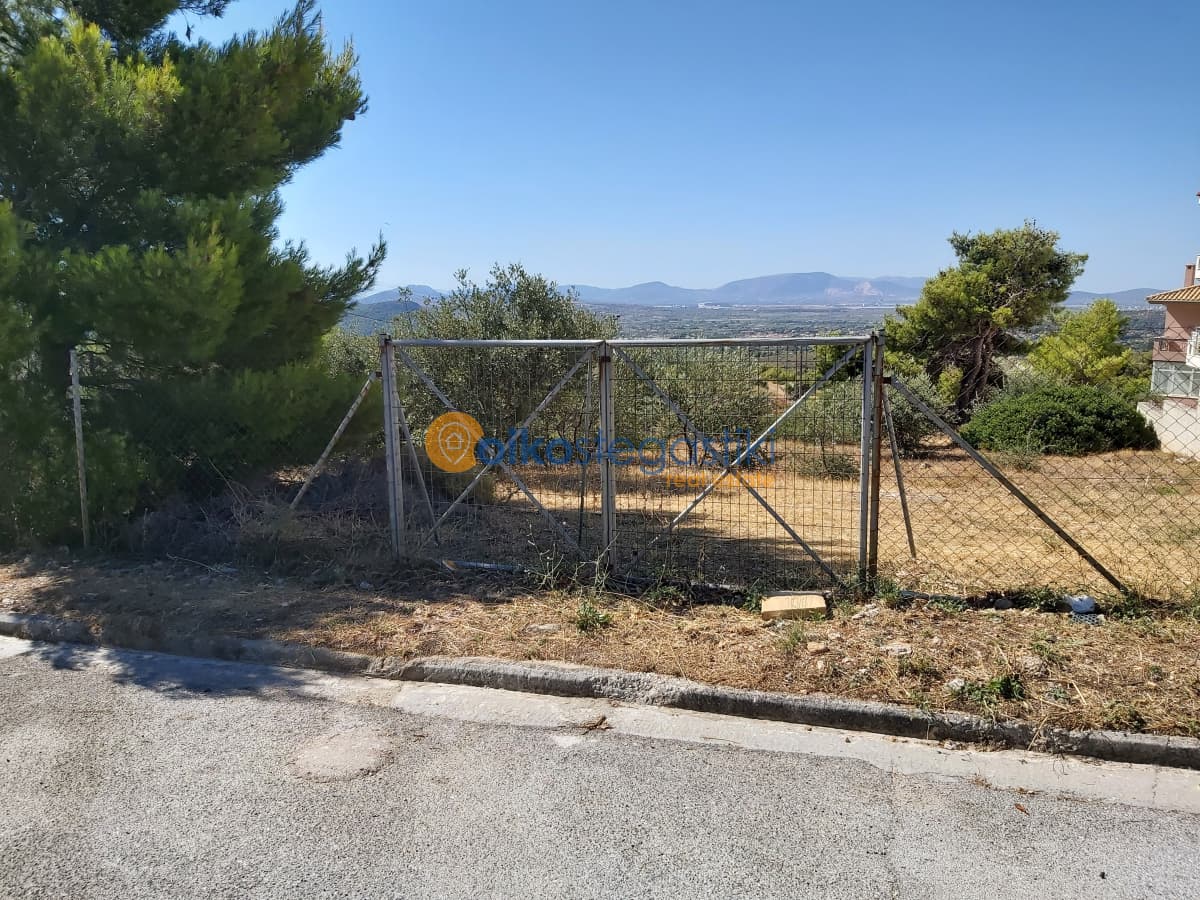 Οικόπεδο στην Δασαμάρι, Πικέρμι — Φωτογραφία 3 από 5