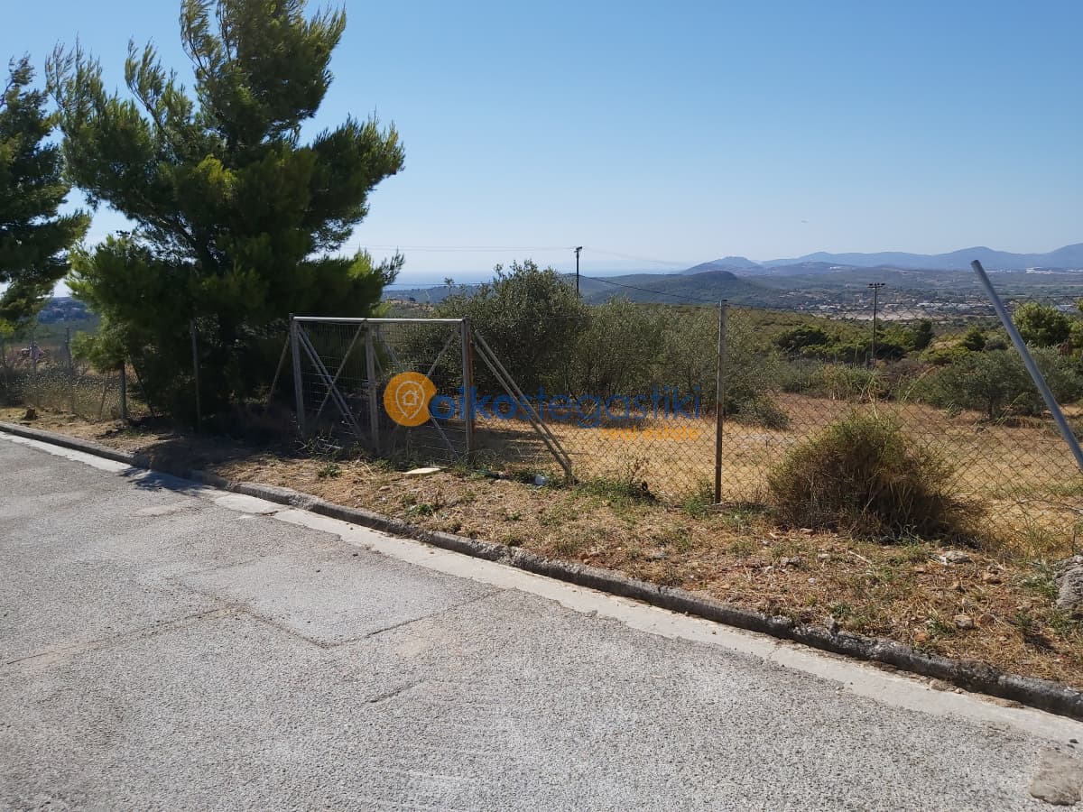 Οικόπεδο στην Δασαμάρι, Πικέρμι — Φωτογραφία 2 από 5