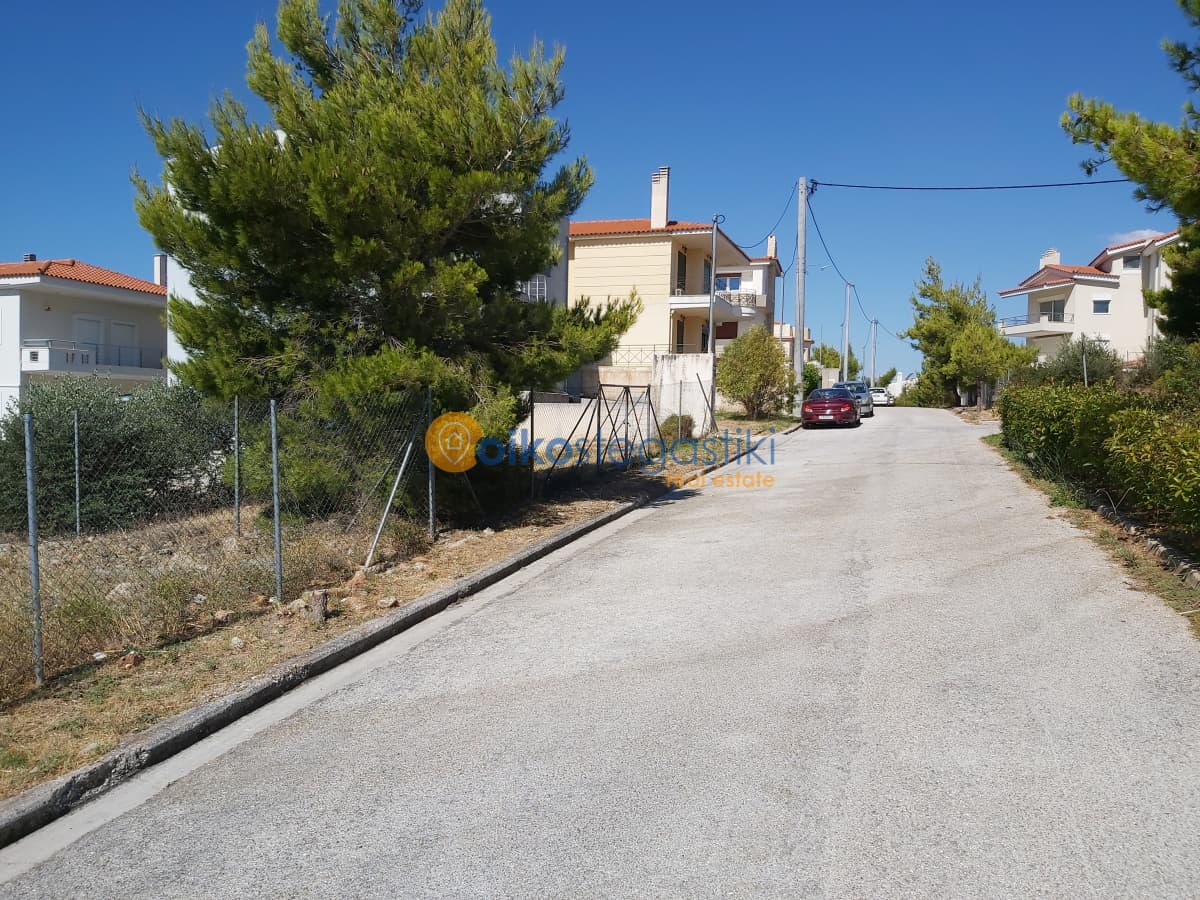 Οικόπεδο στην Δασαμάρι, Πικέρμι — Φωτογραφία 5 από 5