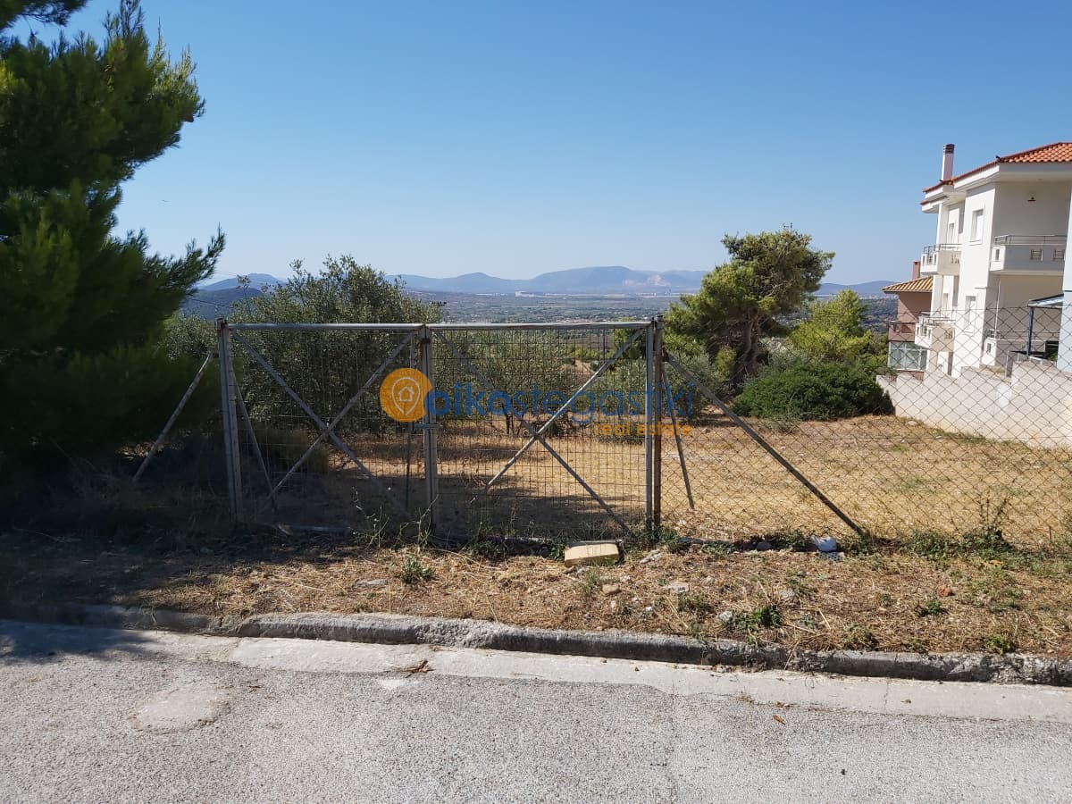 Οικόπεδο στην Δασαμάρι, Πικέρμι — Φωτογραφία 4 από 5
