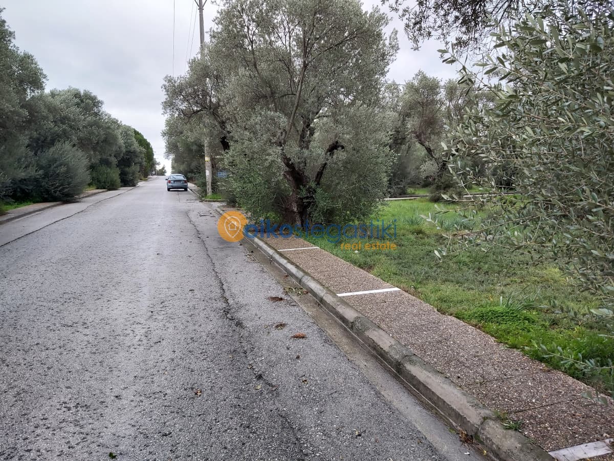 Οικόπεδο στην Νεάπολη, Σπάτα — Φωτογραφία 1 από 2