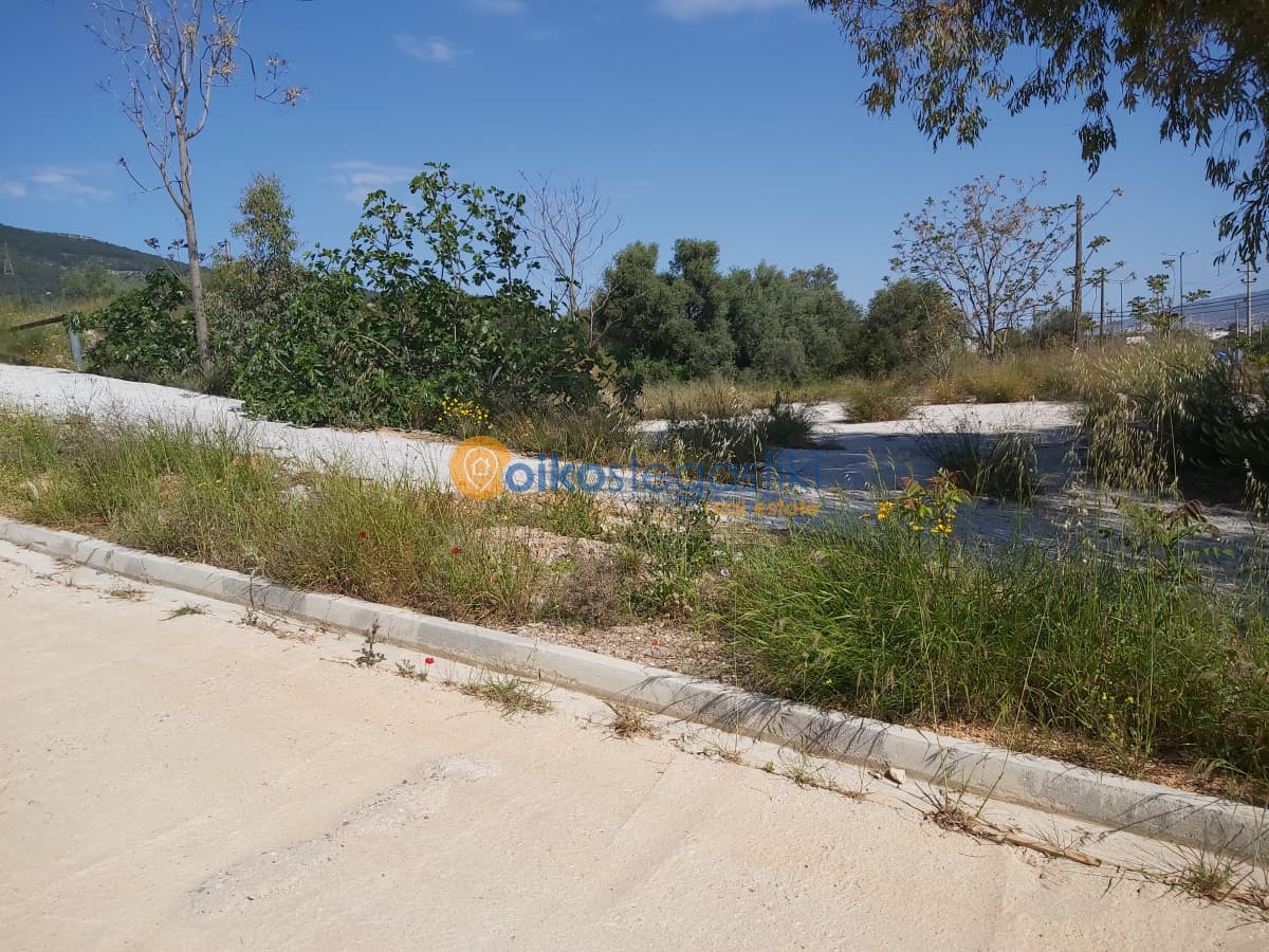 Οικόπεδο στην Άνω Μπαλάνα, Παλλήνη — Φωτογραφία 2 από 3