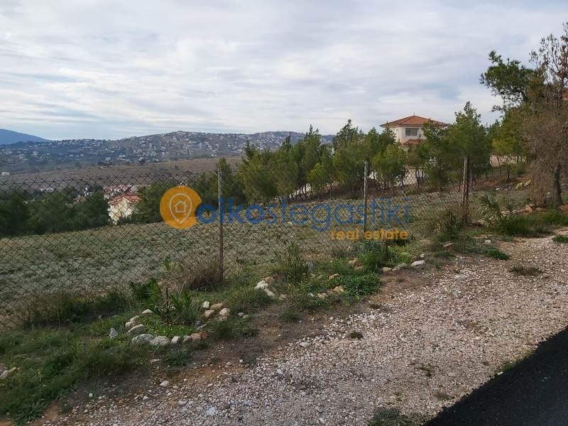 Οικόπεδο στην Δασαμάρι, Πικέρμι — Φωτογραφία 2 από 5