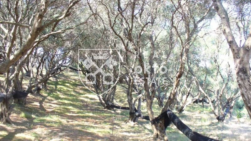 Building Plot in Αgios Georgios, Corfu — Photo 3 of 5