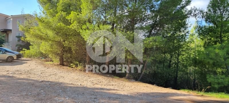 Οικόπεδο στην Διώνη, Πικέρμι — Φωτογραφία 4 από 9
