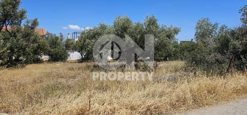 Building Plot in Agia Triada, Paiania — Photo 2 of 10