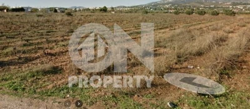 Αγροτεμάχιο στην Κάτω Χαρβάτι, Παλλήνη — Φωτογραφία 5 από 9