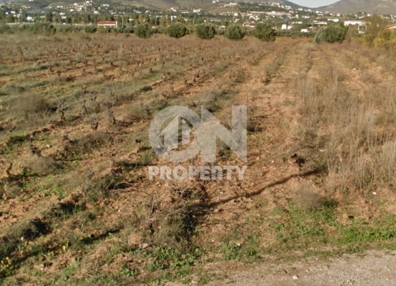 Αγροτεμάχιο στην Κάτω Χαρβάτι, Παλλήνη — Φωτογραφία 8 από 9