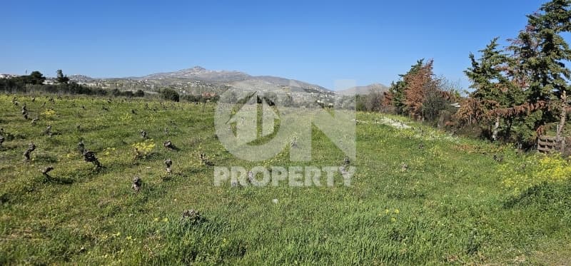 Αγροτεμάχιο στην Κάτω Χαρβάτι, Παλλήνη — Φωτογραφία 1 από 9