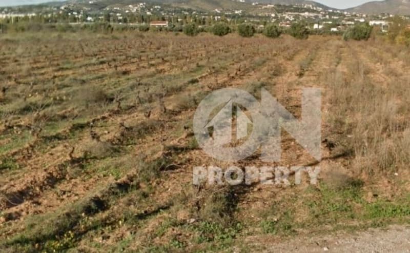 Αγροτεμάχιο στην Κάτω Χαρβάτι, Παλλήνη — Φωτογραφία 6 από 9