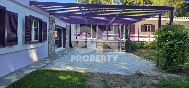 Μονοκατοικία στην Άνω Κηφισιά, Μελίσσια — Φωτογραφία 3 από 26