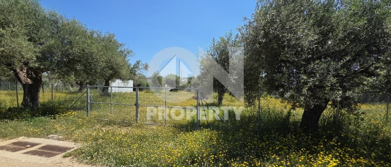 Building Plot in Agia Triada, Paiania — Photo 1 of 4