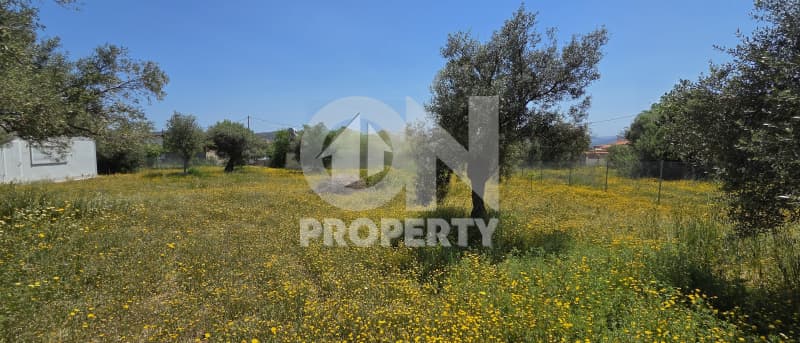 Building Plot in Agia Triada, Paiania — Photo 4 of 4