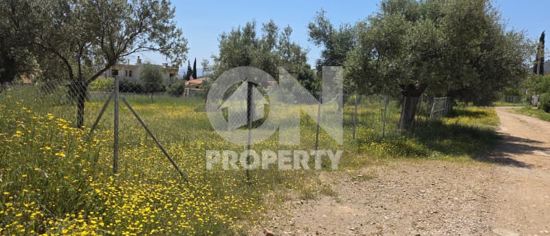 Building Plot in Agia Triada, Paiania — Photo 3 of 4
