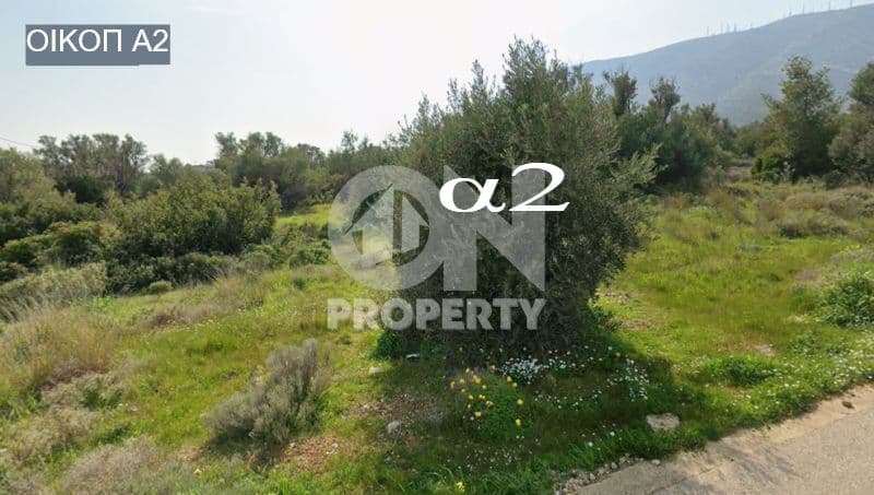 Building Plot in Agia Triada, Paiania — Photo 1 of 9