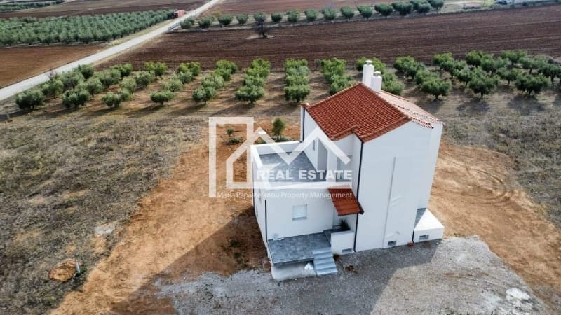 Μονοκατοικία στην Νέα Καλλικράτεια, Καλλικράτεια — Φωτογραφία 15 από 20