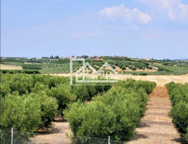 Μονοκατοικία στην Νέα Καλλικράτεια, Καλλικράτεια — Φωτογραφία 11 από 20