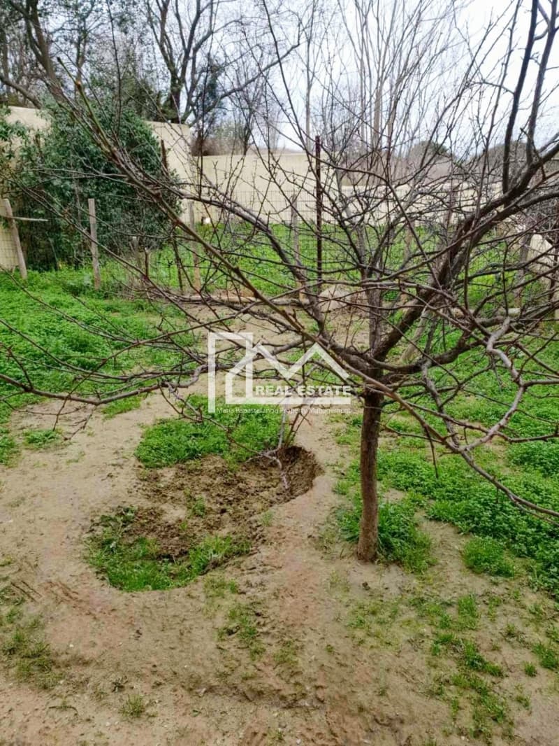 House in Kardia, Mikra — Photo 3 of 4