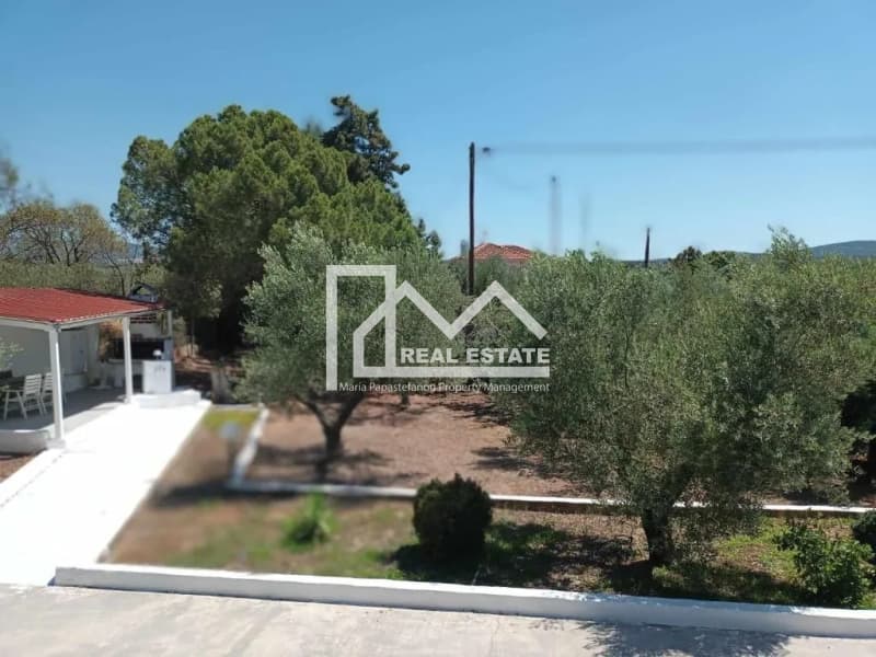 Μονοκατοικία στην Σκάλα Γερακινής, Πολύγυρος — Φωτογραφία 5 από 26
