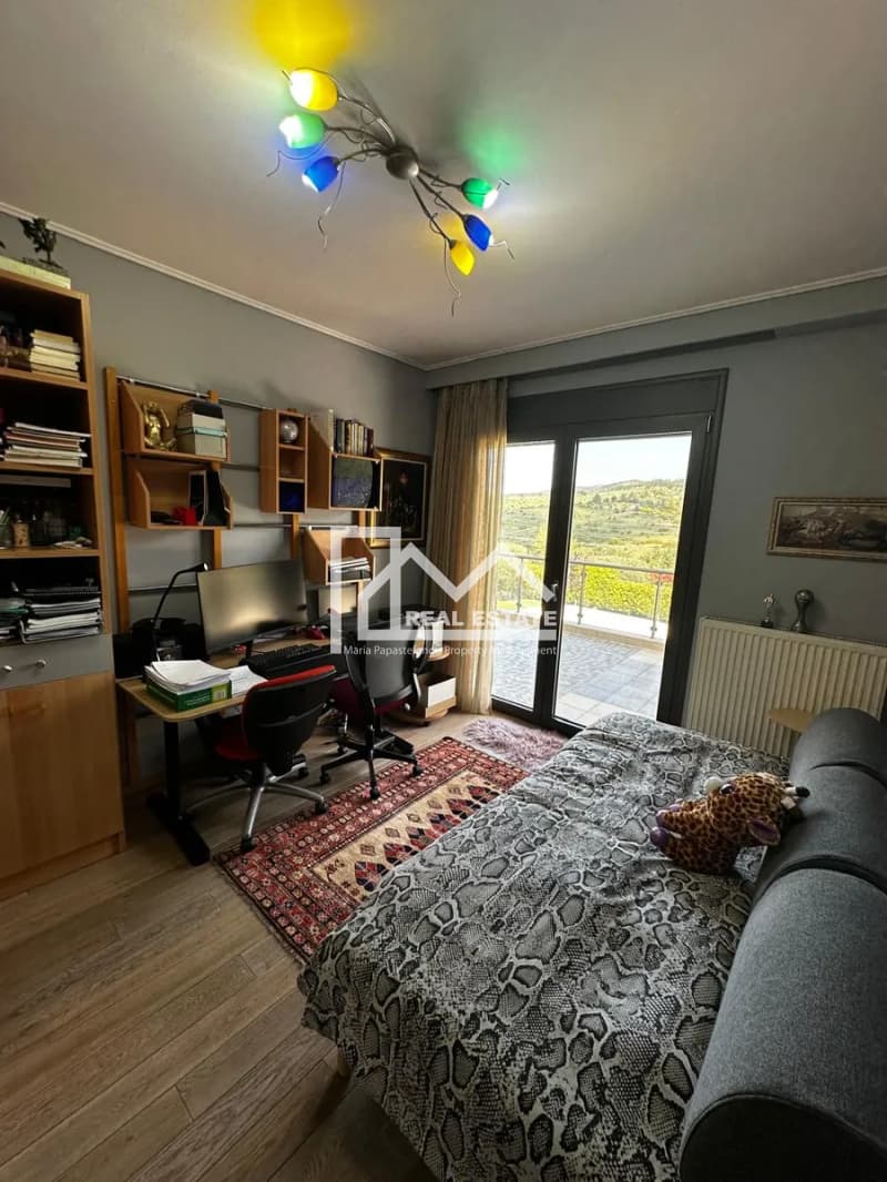 House in Elaiones, Pylea — Photo 13 of 13