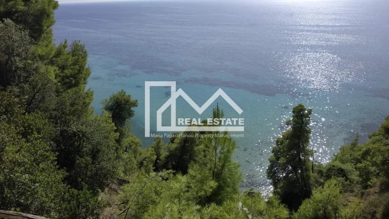Μονοκατοικία στην Ελάνη, Κασσάνδρα — Φωτογραφία 2 από 7