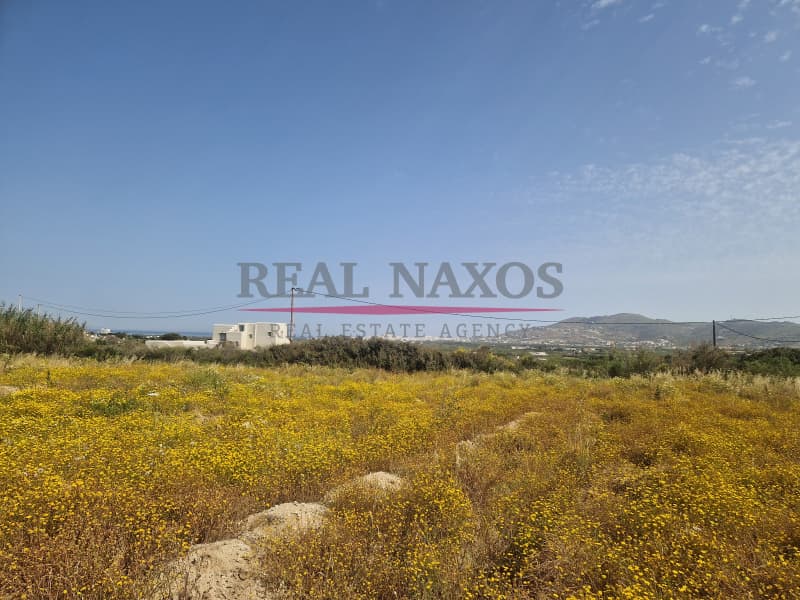 Αγροτεμάχιο στην Άγιος Αρσένιος, Νάξος — Φωτογραφία 8 από 17