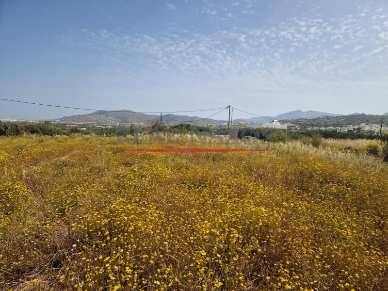 Αγροτεμάχιο στην Άγιος Αρσένιος, Νάξος — Φωτογραφία 9 από 17