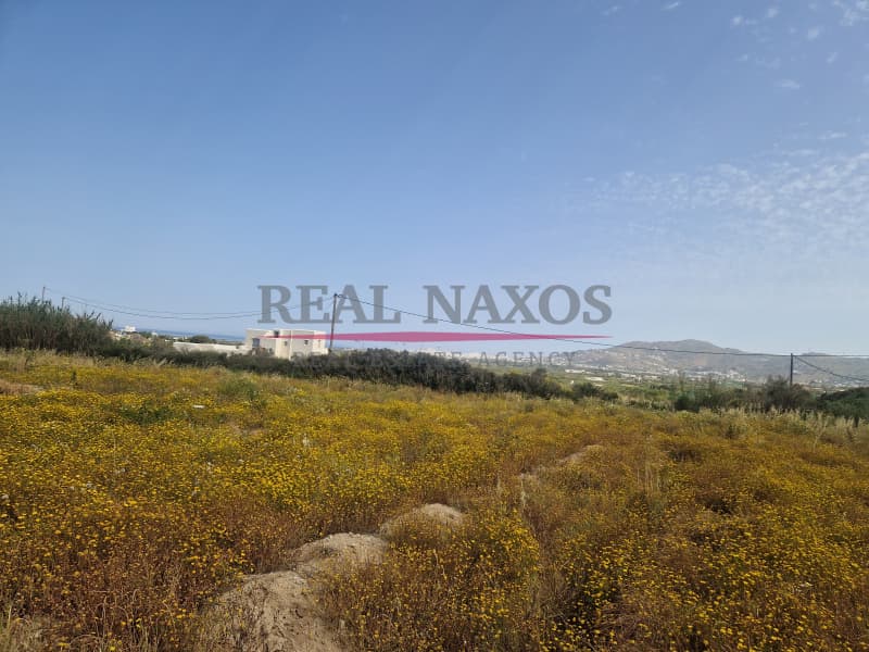 Αγροτεμάχιο στην Άγιος Αρσένιος, Νάξος — Φωτογραφία 13 από 17