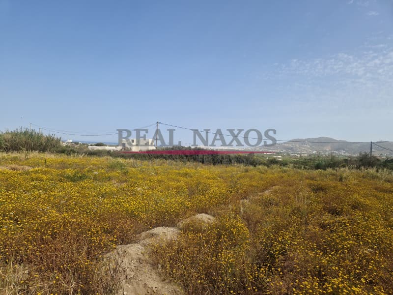 Αγροτεμάχιο στην Άγιος Αρσένιος, Νάξος — Φωτογραφία 10 από 17